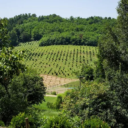 Large Among The Hazelnuts - Unesco Apartment