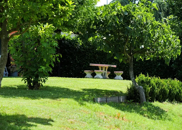 Apartmán Large Among The Hazelnuts - Unesco *